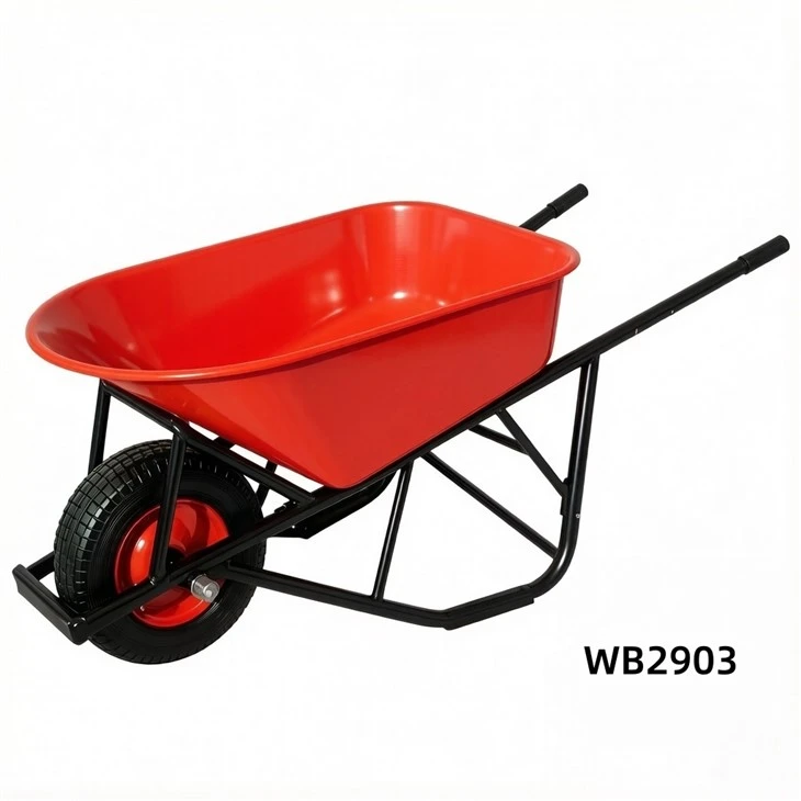 WB2903(001)