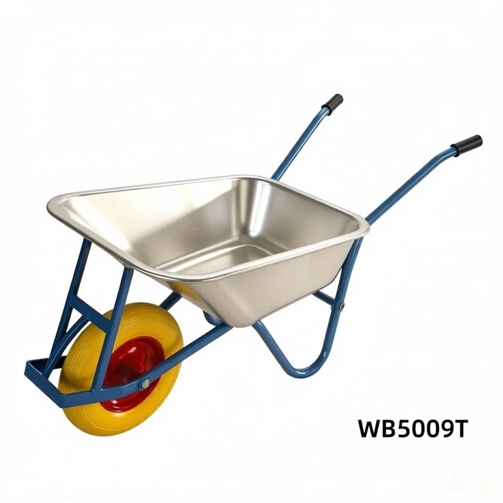 WB5009T