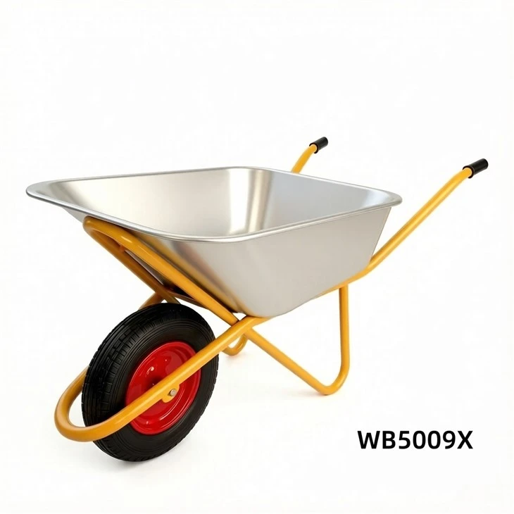 WB5009X