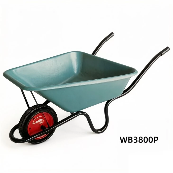 WB3800P(001)