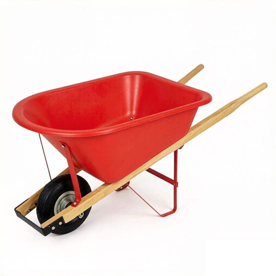 product-880-880 product-880-880